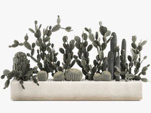 prickly pear cactus collection in a concrete flowerpot 1103 3D Model