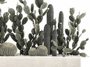 prickly pear cactus collection in a concrete flowerpot 1103 3D Model