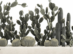prickly pear cactus collection in a concrete flowerpot 1103 3D Model