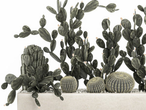 prickly pear cactus collection in a concrete flowerpot 1103 3D Model