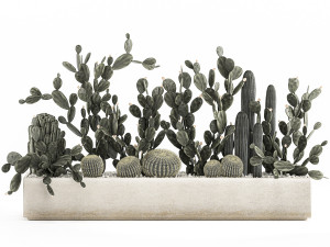 prickly pear cactus collection in a concrete flowerpot 1103 3D Model
