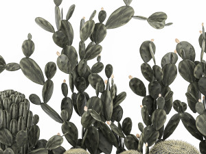 prickly pear cactus collection in a concrete flowerpot 1103 3D Model