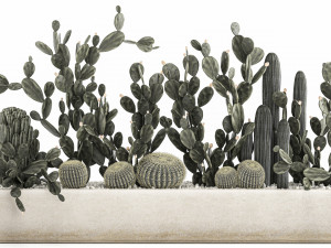 prickly pear cactus collection in a concrete flowerpot 1103 3D Model