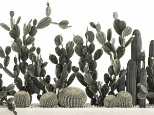 prickly pear cactus collection in a concrete flowerpot 1103 3D Model