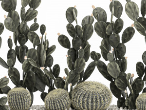 prickly pear cactus collection in a concrete flowerpot 1103 3D Model