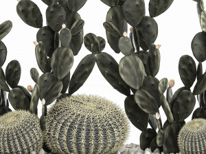 prickly pear cactus collection in a concrete flowerpot 1103 3D Model