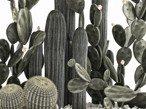 prickly pear cactus collection in a concrete flowerpot 1103 3D Model