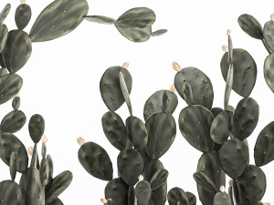 prickly pear cactus collection in a concrete flowerpot 1103 3D Model