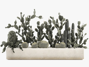 prickly pear cactus collection in a concrete flowerpot 1103 3D Model