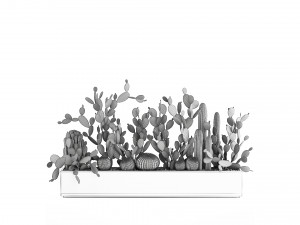 prickly pear cactus collection in a concrete flowerpot 1103 3D Model
