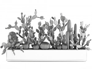 prickly pear cactus collection in a concrete flowerpot 1103 3D Model