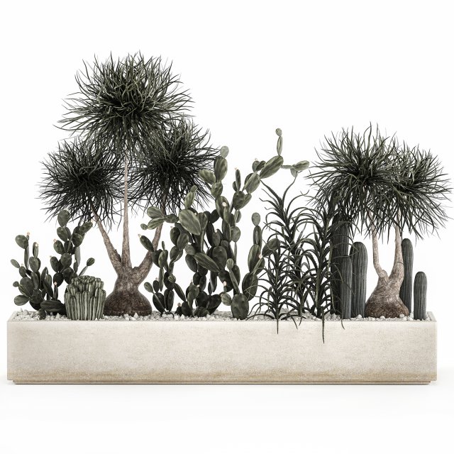 cactus collection in a concrete flowerpot 1102 3D Model .c4d .max .obj .3ds .fbx .stl .blend 