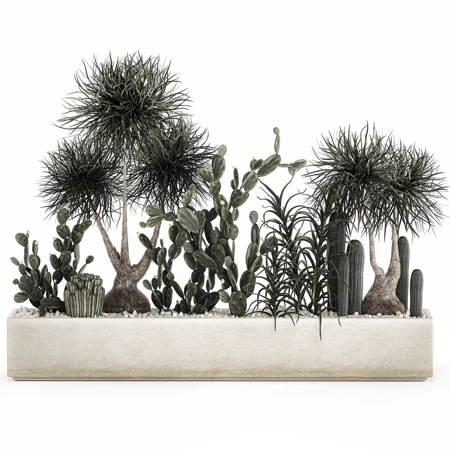 cactus collection in a concrete flowerpot 1102 3D Model .c4d .max .obj .3ds .fbx .stl .blend 