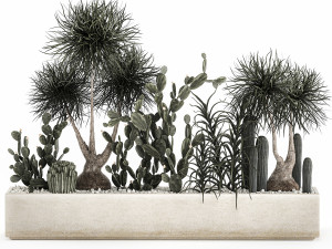 cactus collection in a concrete flowerpot 1102 3D Model