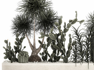 cactus collection in a concrete flowerpot 1102 3D Model