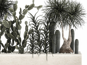 cactus collection in a concrete flowerpot 1102 3D Model
