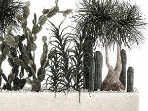 cactus collection in a concrete flowerpot 1102 3D Model