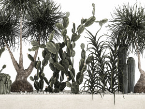 cactus collection in a concrete flowerpot 1102 3D Model