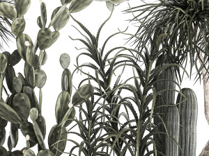 cactus collection in a concrete flowerpot 1102 3D Model