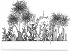 cactus collection in a concrete flowerpot 1102 3D Model