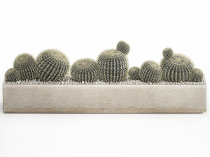 echinocactus in a concrete flowerpot for the interior 1104 3D Model