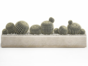 echinocactus in a concrete flowerpot for the interior 1104 3D-Modell