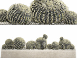 echinocactus in a concrete flowerpot for the interior 1104 3D Модель