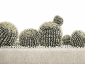 echinocactus in a concrete flowerpot for the interior 1104 3D Модель