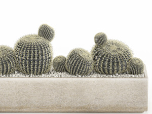 echinocactus in a concrete flowerpot for the interior 1104 3D Модель