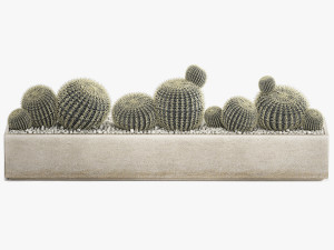 echinocactus in a concrete flowerpot for the interior 1104 3D Модель