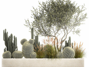 cactus set in a flowerpot landscaping olive tree 1105 3D Model