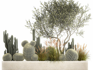 cactus set in a flowerpot landscaping olive tree 1105 3D 모델