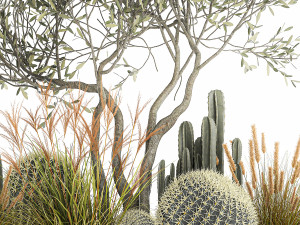 cactus set in a flowerpot landscaping olive tree 1105 3D Model