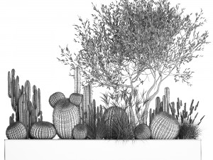 cactus set in a flowerpot landscaping olive tree 1105 3D Model