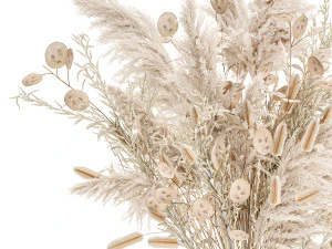 luxury bouquet of reeds pampas grass and dried flowers 234 3D Model