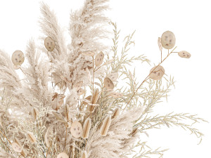 luxury bouquet of reeds pampas grass and dried flowers 234 3Dモデル