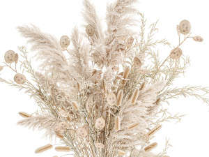 luxury bouquet of reeds pampas grass and dried flowers 234 3Dモデル