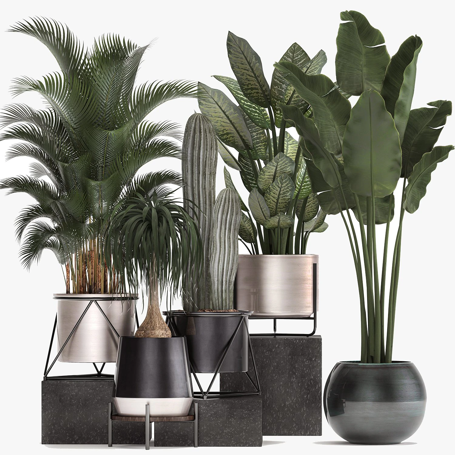 collection of indoor plants in luxury flower pots 1106 3D Model .c4d .max .obj .3ds .fbx .stl .blend 