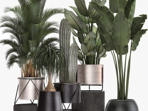 collection of indoor plants in luxury flower pots 1106 3D Model
