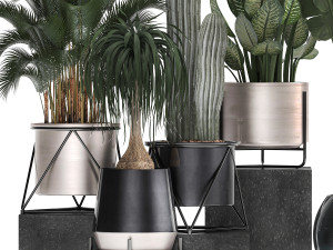 collection of indoor plants in luxury flower pots 1106 3D Модель