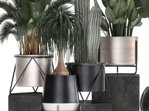 collection of indoor plants in luxury flower pots 1106 3D Model