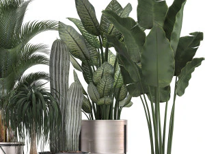 collection of indoor plants in luxury flower pots 1106 3D Model