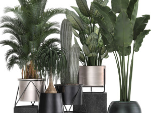 collection of indoor plants in luxury flower pots 1106 3D Модель