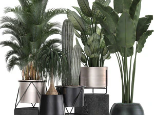 collection of indoor plants in luxury flower pots 1106 3D Model