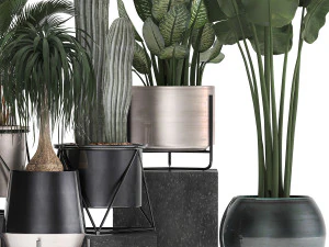 collection of indoor plants in luxury flower pots 1106 3D Model