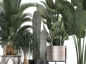 collection of indoor plants in luxury flower pots 1106 3D Модель