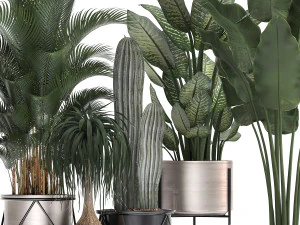 collection of indoor plants in luxury flower pots 1106 3D Model