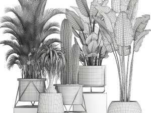 collection of indoor plants in luxury flower pots 1106 3D Модель