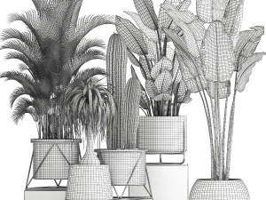 collection of indoor plants in luxury flower pots 1106 3D Model