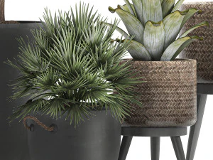 set of plants in pots banana lemon tree 1107 3D Model